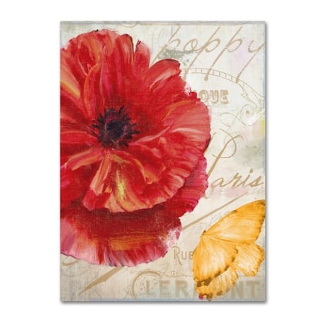 Trademark Fine Art Color Bakery 'Red Poppy' Canvas Art, 18x24 ALI4840-C1824GG
